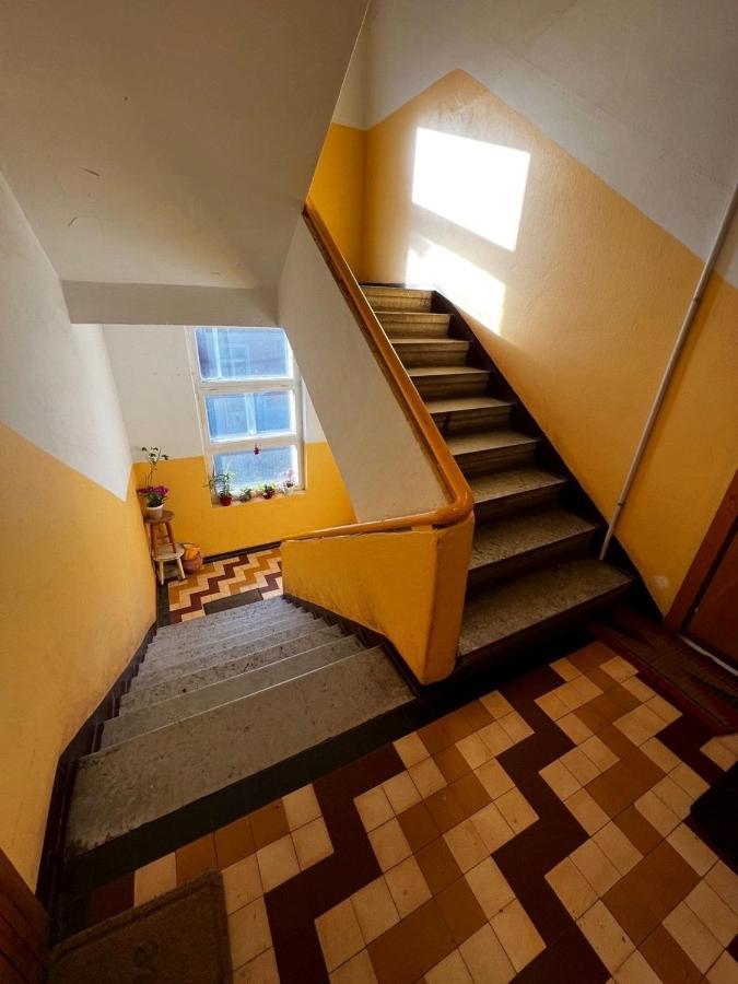 Videviku Korter